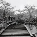 고요한 아침 이미지