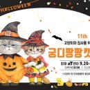 멍페스타 이미지