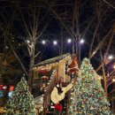 트리하우스 | 의왕 크리스마스 카페 더가드너 트리하우스 예약방문후기