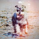 기민농장 이미지