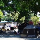 봉좌농장 | 포항 봉좌마을 오토 캠핑장 촌캉스 즐길거리 가득