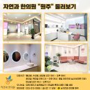 자연과한의원 원주점 네이버블로그
