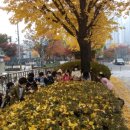 서룡초등학교(병설) 이미지