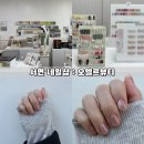 오엘르뷰티