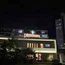 부산 수영 리오네 방문 후기(콜키지 가능)