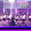 덤덤 이미지