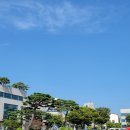 갑진농장 이미지