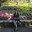 쿠앤크 | 더힐룩 맨살가디건 &amp; 쿠앤크 트위드 스커트 후기