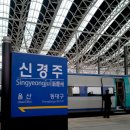 단호박, 신월성 원자력 발전소를 다녀오다.