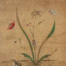 조선시대 이미지