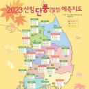 2023 단풍 절정 예상 시기 (산림청) 이미지