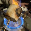 다드림식자재마트 | 남양주 쿼크밸리캠프 Q1 리뷰(단독 사이트, 4인, 애견 동반, 숲뷰 계곡뷰)