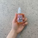 핑크버니 이미지