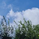 푸르메가살고있는곳 이미지