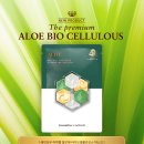 라파엘바이오 이미지