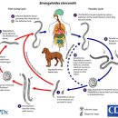 일원역약국 이미지