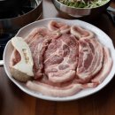 돼지한마리 이미지