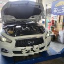 합성견인 이미지