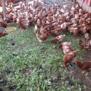 우창농장 이미지