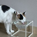 가휴농원