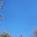 라온 태양광발전소 이미지