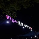 카놀자세차장 | 구미 카놀자 셀프세차장 초보의세차 사장님핵친절