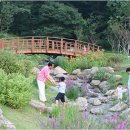 일자산자연공원(허브천문공원) 이미지