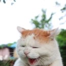 주스토리 이미지