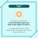 율스킨바디 네이버블로그