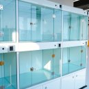 유원유치원 이미지