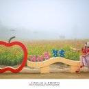 청송포레스트 티스토리