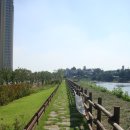 백천약국 Daum카페