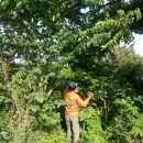 해병 제1상륙사단 이미지