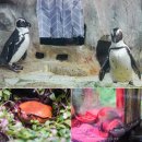 뮤지엄 남해 | 여수 가볼만한곳 추천 아쿠아플라넷 여수 해상 케이블카 테디베어뮤지엄