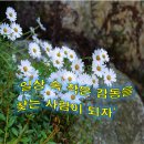 [마을배움터] 악기,북난타 | 일상 속 작은 감동을 찾는 사람이 되자