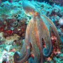 뷰티난다 이미지