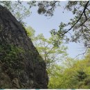 수원-1332 이미지