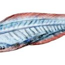 국립과천과학관 이미지