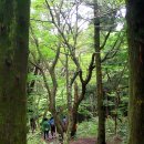 제주시크릿가든 이미지