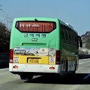 주식회사금아여행 이미지