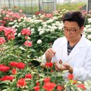 농업기술원 앞 이미지