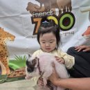 피터팬어린이집 이미지