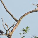 낙동강변14 이미지