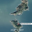 심리항