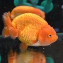 피쉬갤러리 천안점 이미지