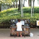 피아노공원 Daum카페