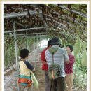 숲마을농원 이미지