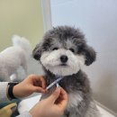 순둥이유치원 이미지