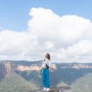 블루마운틴 이미지