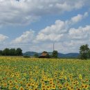 이승현농장 이미지